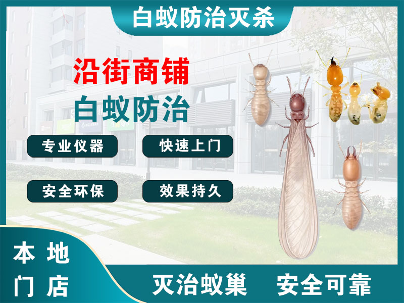 富阳区沿街商铺白蚁防治