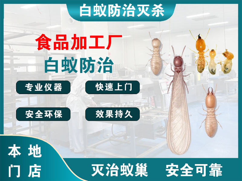 富阳区食品加工厂白蚁防治