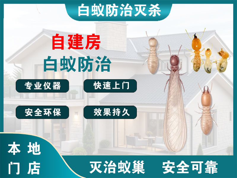 富阳区自建房白蚁防治
