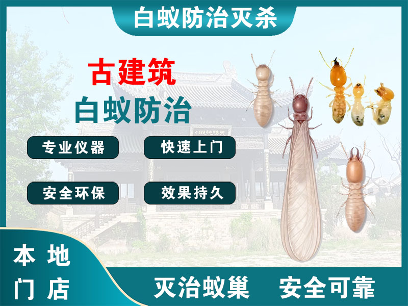 富阳区古建筑白蚁防治