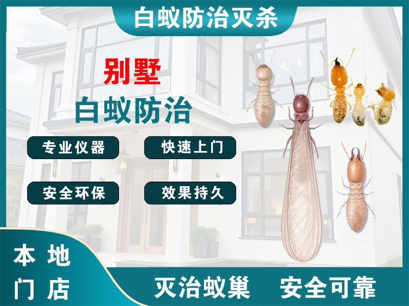 富阳区别墅白蚁防治